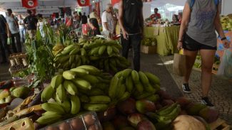 Alimentos saudáveis e reforma agrária: RJ recebe 15ª Feira do MST