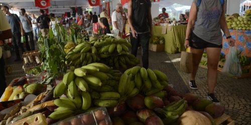 Imagem referente a Alimentos saudáveis e reforma agrária: RJ recebe 15ª Feira do MST