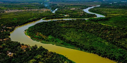 Imagem referente a Lei do Pantanal é sancionada para garantir conservação do bioma