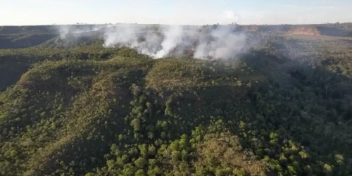 Imagem referente a Incêndio atinge divisa do Santuário de Elefantes em Mato Grosso