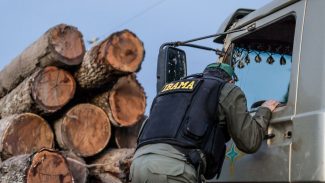 Servidores do Ibama prometem suspender fiscalização ambiental