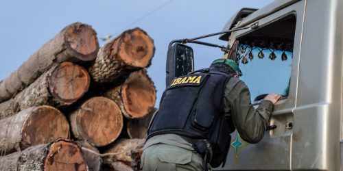 Imagem referente a Servidores do Ibama prometem suspender fiscalização ambiental