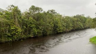 Rio das Pombas: Pontal do Paraná vai ganhar Unidade de Conservação estadual