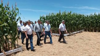 Tradicionais eventos das cooperativas abrem calendário agrícola no Oeste do Paraná