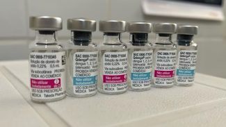 Vacinação contra dengue vai priorizar faixa etária de 6 a 16 anos