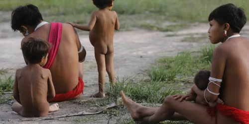 Imagem referente a Forças Armadas levarão 15 mil cestas de alimentos aos Yanomami