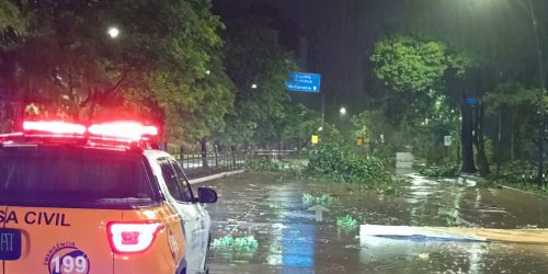 Imagem referente a Governo federal reconhece situação de emergência em Porto Alegre