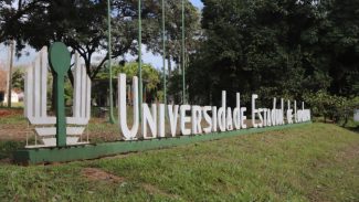 Universidade Estadual de Londrina retoma atividades acadêmicas nesta segunda