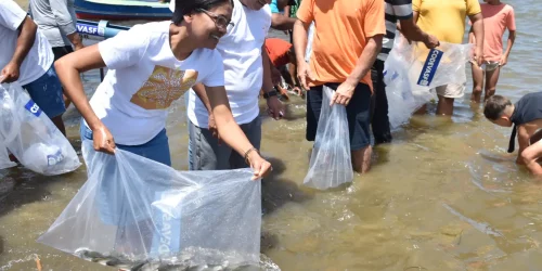 Imagem referente a Mutirão solta 150 mil peixes em municípios do Sergipe no fim de semana