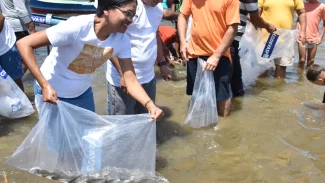Mutirão solta 150 mil peixes em municípios de Sergipe no fim de semana