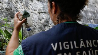 Minas Gerais confirma segunda morte por dengue