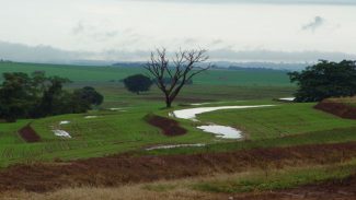 Produtividade: IDR-Paraná discutirá manejo de solos compactados no Show Rural