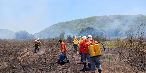 Imagem referente a Incêndio no Pantanal está controlado, diz Instituto Homem Pantaneiro