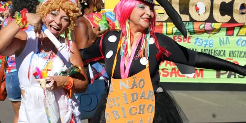 Imagem referente a Causas internacionais dão o tom do carnaval do Pacotão em Brasília