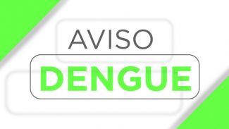 Paraná registra 8,4 mil novos casos de dengue e mais um óbito