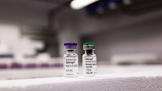 Paraná recebe primeiro lote de vacinas contra a dengue para atender 30 municípios