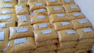 Com apoio do Estado, cooperativa da agricultura familiar de Pinhão investe em farinha de milho
