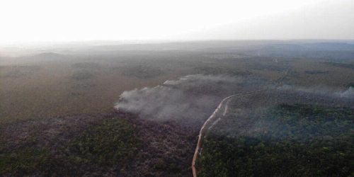Imagem referente a Área queimada no Brasil cresce 248% em relação a janeiro de 2023