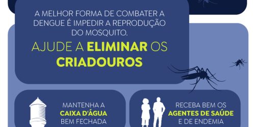 Imagem referente a Goiás começa a vacinar adolescentes de 12 a 14 anos contra dengue