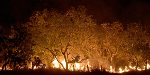 Imagem referente a Roraima tem 45% do total de focos de queimadas do país em fevereiro