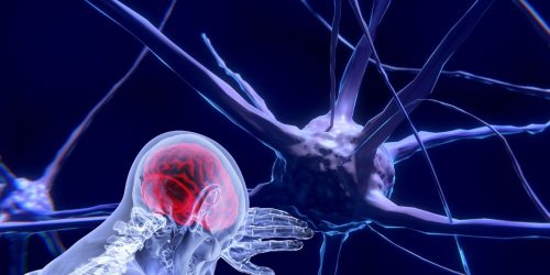 Imagem referente a Neurotecnologia permitirá alterar funcionamento mental, diz cientista