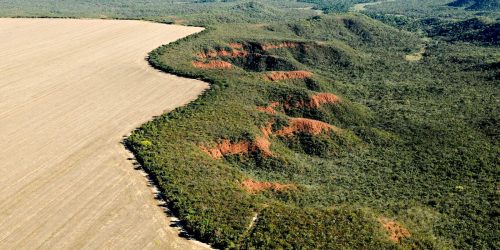 Imagem referente a Cerrado tem alta de 19% nos alertas de desmatamento em fevereiro