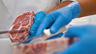 Mais 38 frigoríficos brasileiros já podem exportar carnes para a China