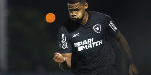 Imagem referente a Botafogo garante presença na fase de grupos da Copa Libertadores