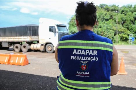 Imagem referente a Prova do concurso da Adapar acontece neste domingo em seis cidades do Paraná