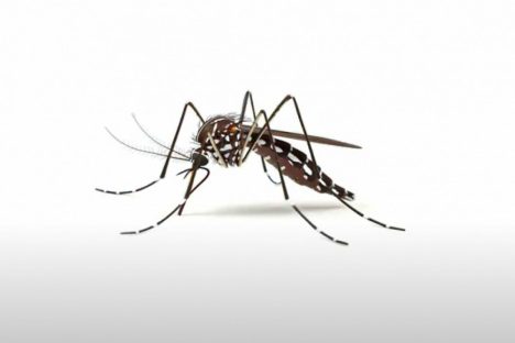 Imagem referente a Para reforçar ações de sábado, Estado lança campanha contra a dengue com inteligência artificial