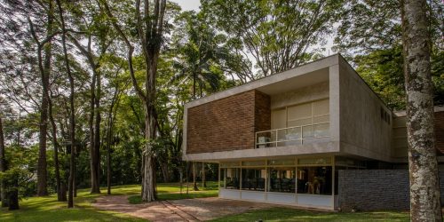 Imagem referente a Museu paulistano completa 50 anos com mostras, palestras e concertos