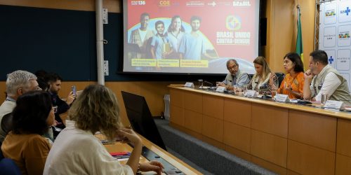 Imagem referente a Saúde anuncia R$ 300 milhões para compra de medicamentos contra dengue