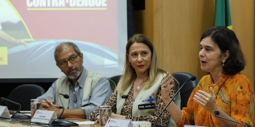 Imagem referente a Juntas, dengue e gripe podem pressionar sistema de saúde, diz ministra