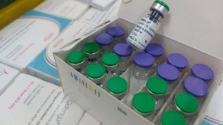 Um mês após início da vacinação da dengue, Paraná chega a 56% de doses aplicadas