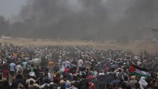 Relatora da ONU diz que Israel comete genocídio na Faixa de Gaza