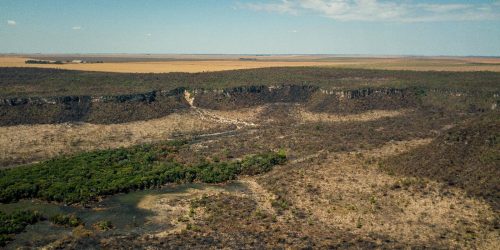 Imagem referente a Governo monta força-tarefa para conter desmatamento no Cerrado