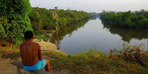 Imagem referente a Justiça determina saída de invasores de terra indígena no Pará