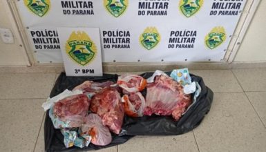 Imagem referente a Suspeitos de furtar bovino são presos e parte da carne do animal é recuperada