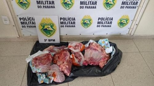 Suspeitos de furtar bovino são presos e parte da carne do animal é recuperada
