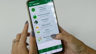 IDR-Paraná lança na ExpoLondrina app para controle biológico do greening dos citros