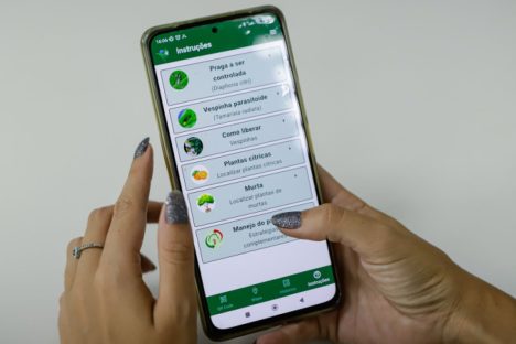 Imagem referente a IDR-Paraná lança na ExpoLondrina app para controle biológico do greening dos citros