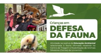 Centro de animais silvestres de Guarapuava promove ação educacional com crianças