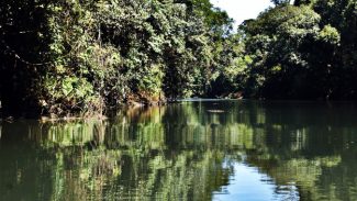 Comitês de Bacias Hidrográficas se reúnem para discutir a gestão de rios do Paraná