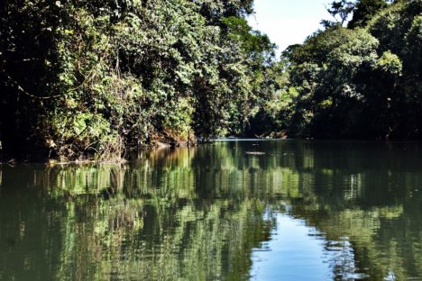 Imagem referente a Comitês de Bacias Hidrográficas se reúnem para discutir a gestão de rios do Paraná