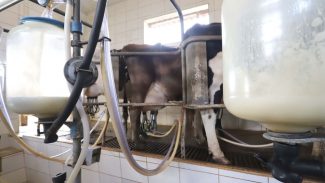 Governo propõe mudanças de tributação para conter importação de leite em pó
