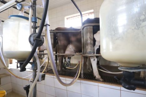 Imagem referente a Governo propõe mudanças de tributação para conter importação de leite em pó