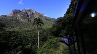 Na trilha e não no trilho: IAT reforça proibição de caminhar na linha férrea do Pico Marumbi