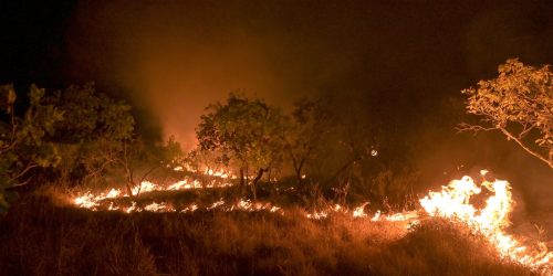 Amazônia: incêndio em área de floresta madura cresceu 152% em 2023