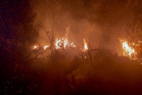 Imagem referente a Período mais seco: IAT faz alerta sobre incêndios nas Unidades de Conservação do Paraná