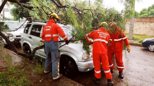 Imagem referente a Chevrolet Tracker fica preso em meio a galhos de árvore na Rua Juraci Antônio Capra